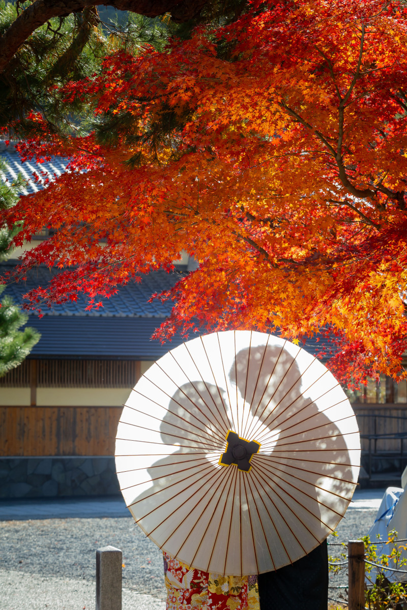 シルエット撮影