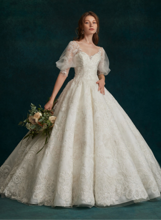 【スタジオ・室内限定】VICTRA パフスリーブ