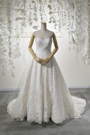 BRIAN Dolly 総レース