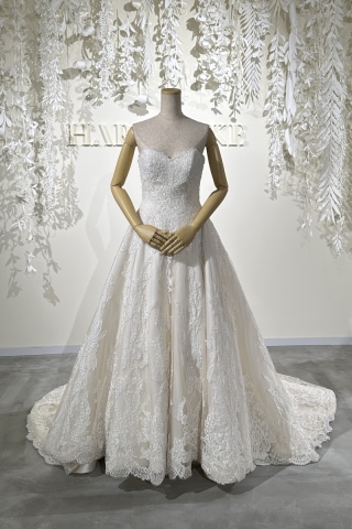 BRIAN Dolly 総レース