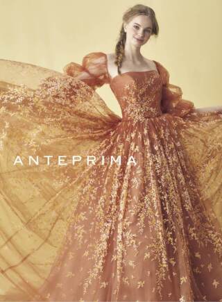 【スタジオ・室内限定】ANT テラコッタ