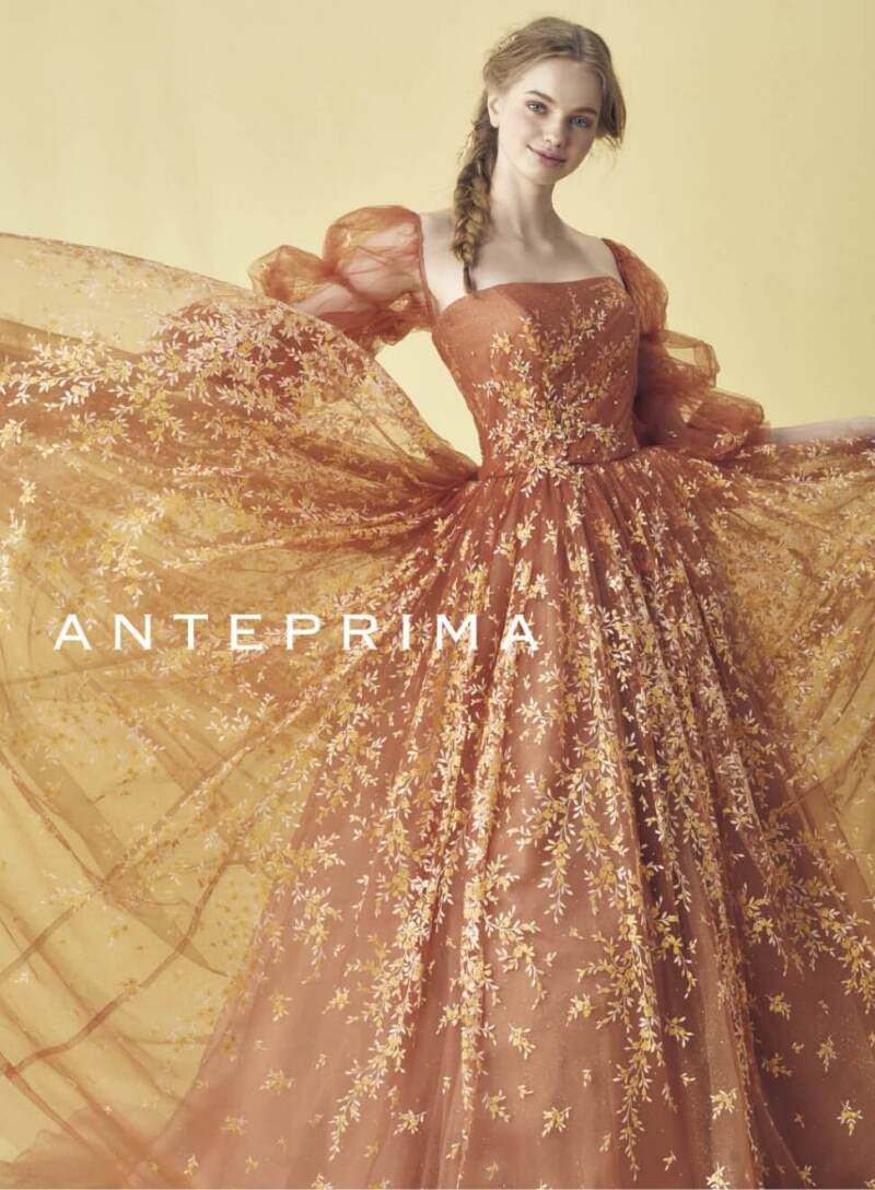 【スタジオ・室内限定】ANT テラコッタ