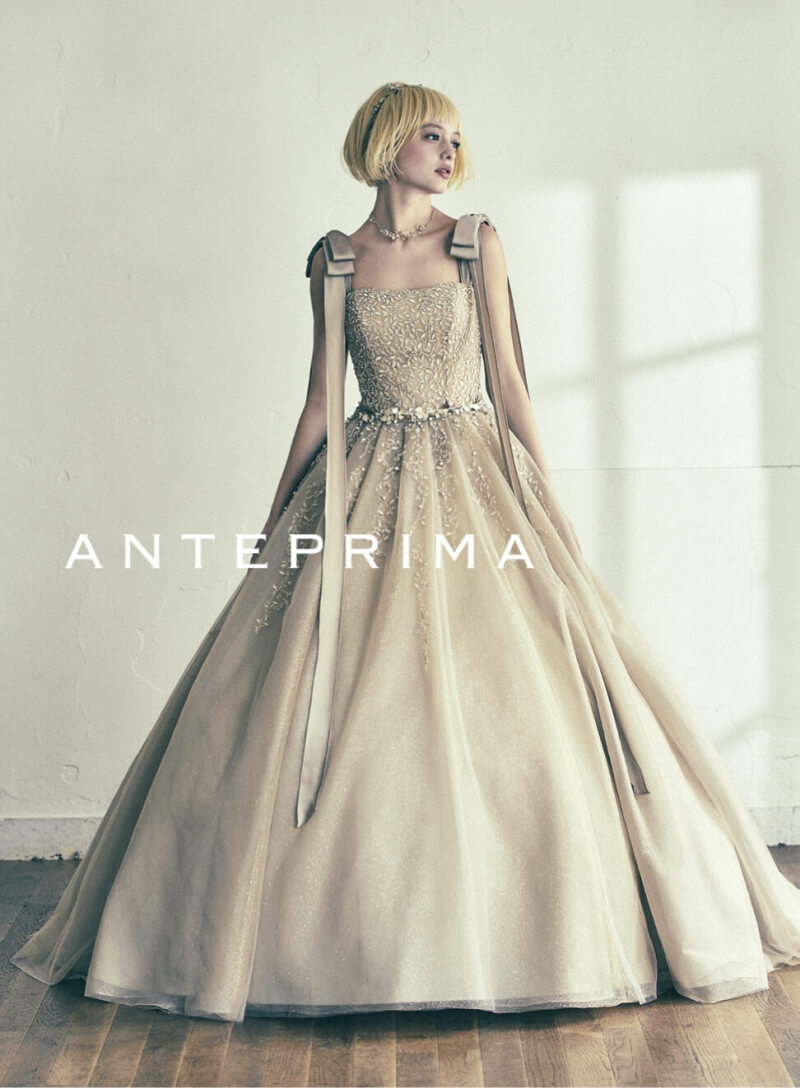 【スタジオ・室内限定】ANT ゴールド