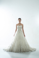 NA－27823 チューリップ