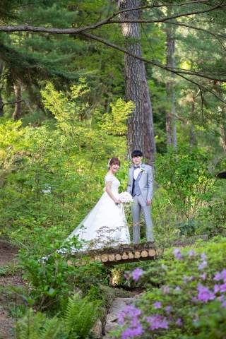 HAREmoKE _神戸市立森林植物園