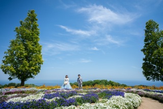 HAREmoKE _あわじ花さじき