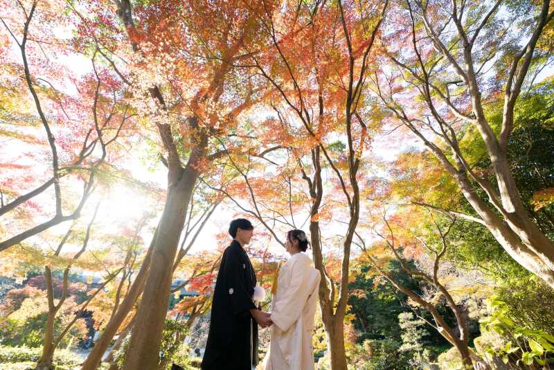 〈和装〉×〈紅葉時期ロケ地お任せ〉まだ間に合うお得!165,000円→155,000円・120カット全データー7日仕上げ