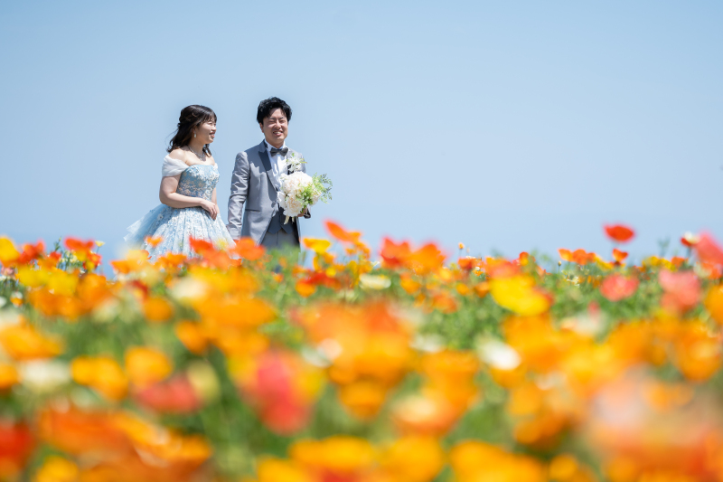 【あわじ花さじき×ドレス撮影1点】☆花と緑に囲まれて