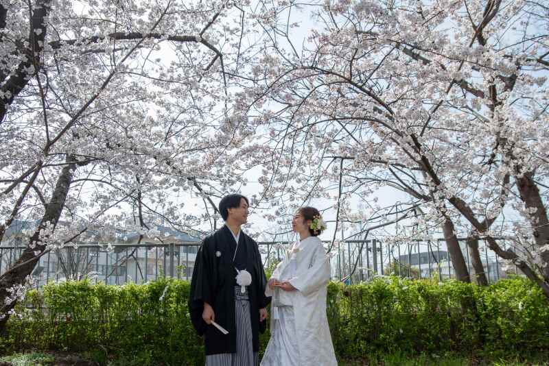 〈和装〉×〈2026年桜の咲いてる屋外+スタジオお任せ〉ベスト日程撮影!155000円