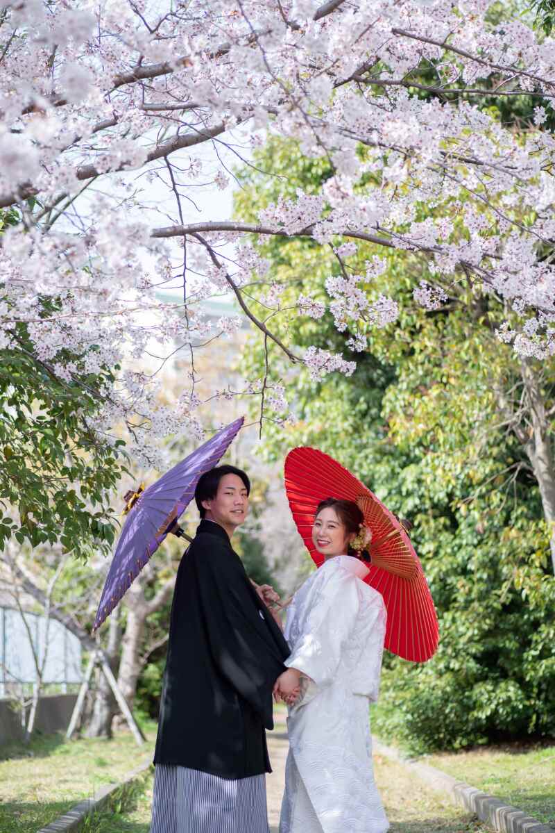 〈和装〉×〈2026年桜の咲いてる屋外+スタジオお任せ〉ベスト日程撮影!155000円