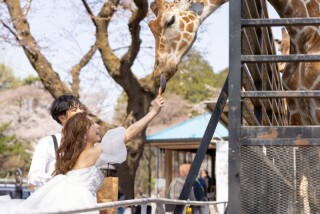 ATANO wedding _宇都宮動物園