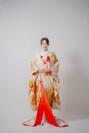 色打掛（ゴールド/鶴と松）No.1