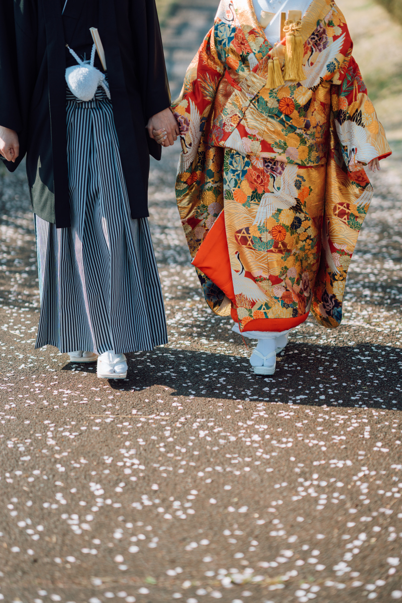 足元に広がる、ひらひら舞い落ちる花びらの絨毯