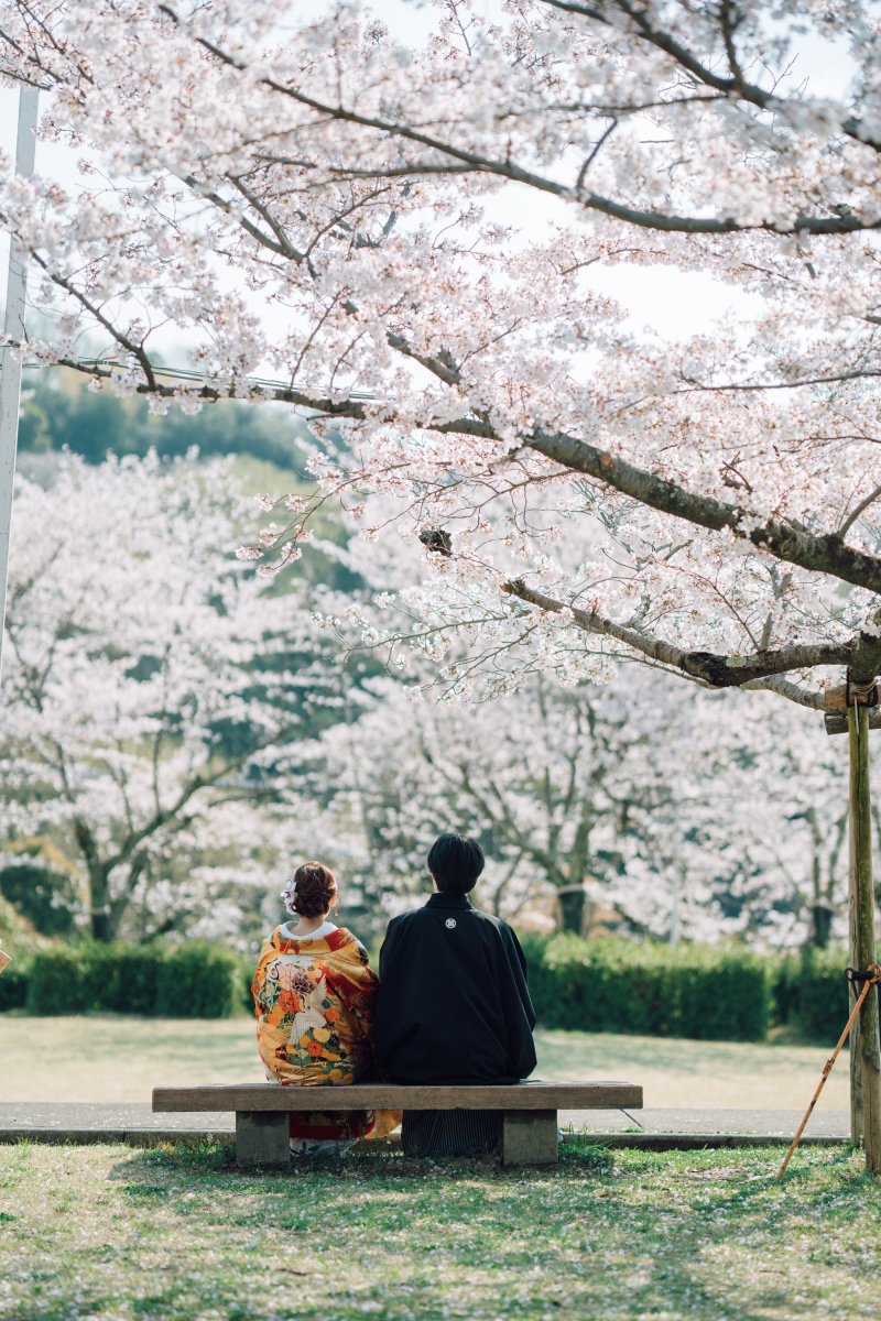 桜を眺めながら。ベンチで過ごす春のひととき