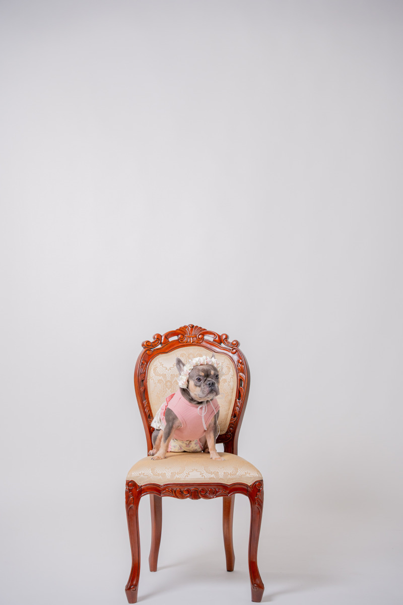 20以上ある撮影シーン