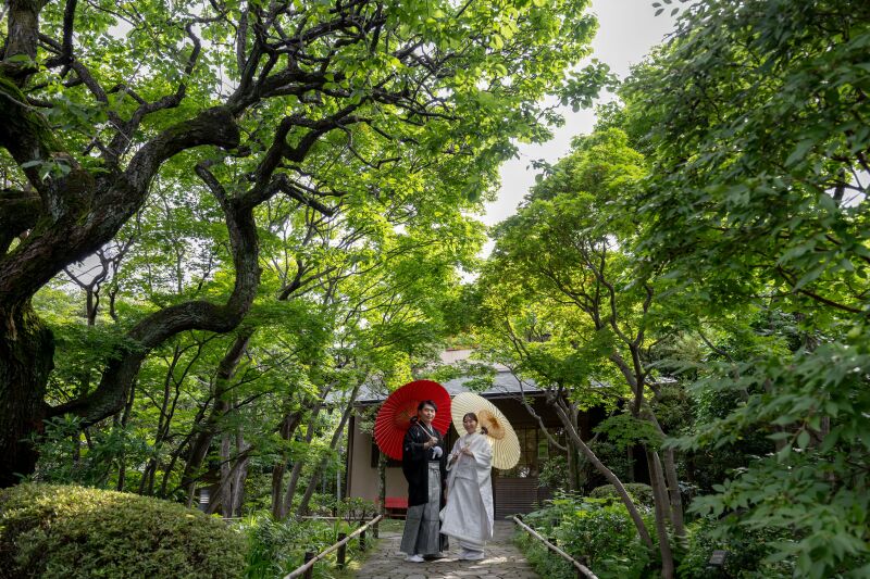 新緑に包まれるふたりの時間