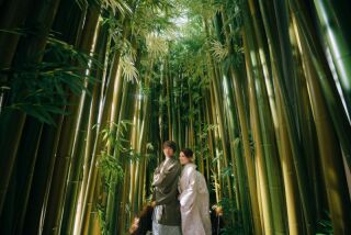 和の彩りに包まれたふたりの門出