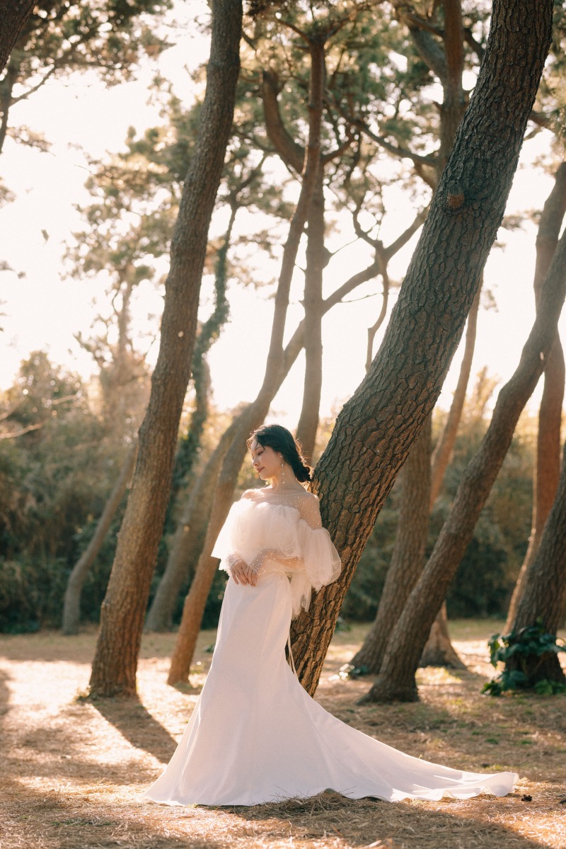 静けさの中で咲く美しさ