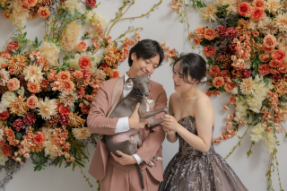 愛犬と紡ぐ幸せのかたち