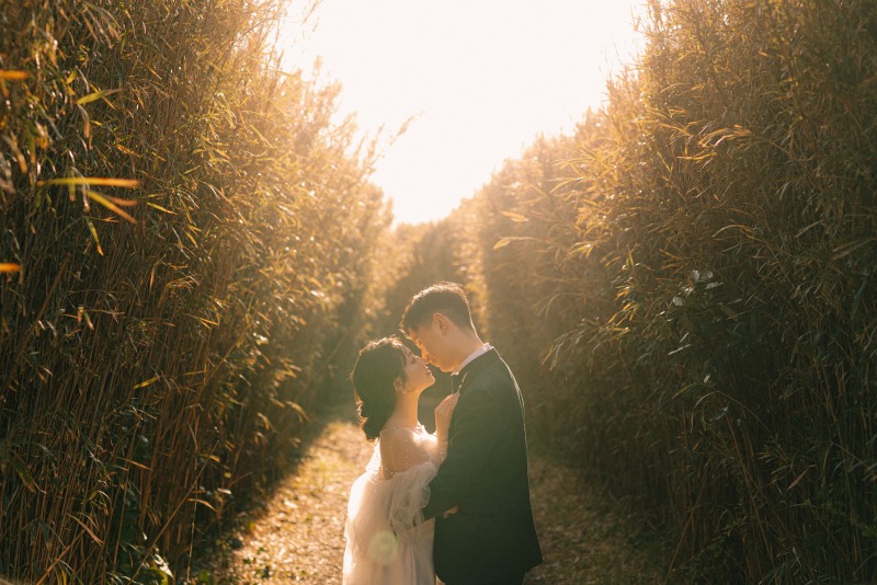 木漏れ日とともに祝福を