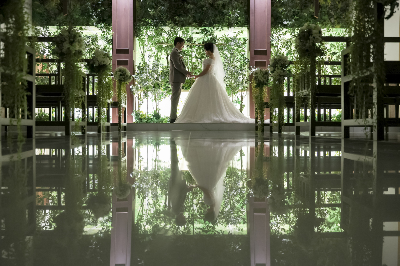 新緑に誓う一日