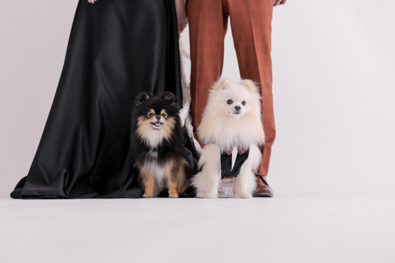 studio clori. TOKYO 新宿店_ペットと一緒に撮影できる