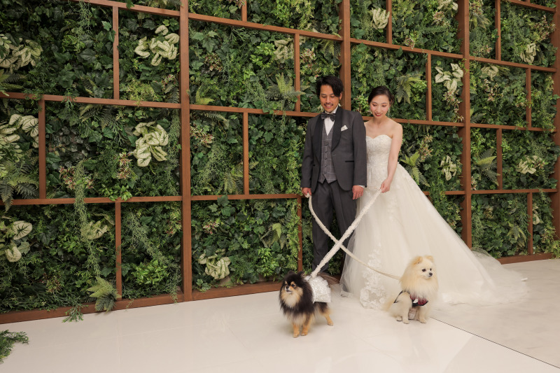  いつもの散歩中の姿を残した素敵な一枚