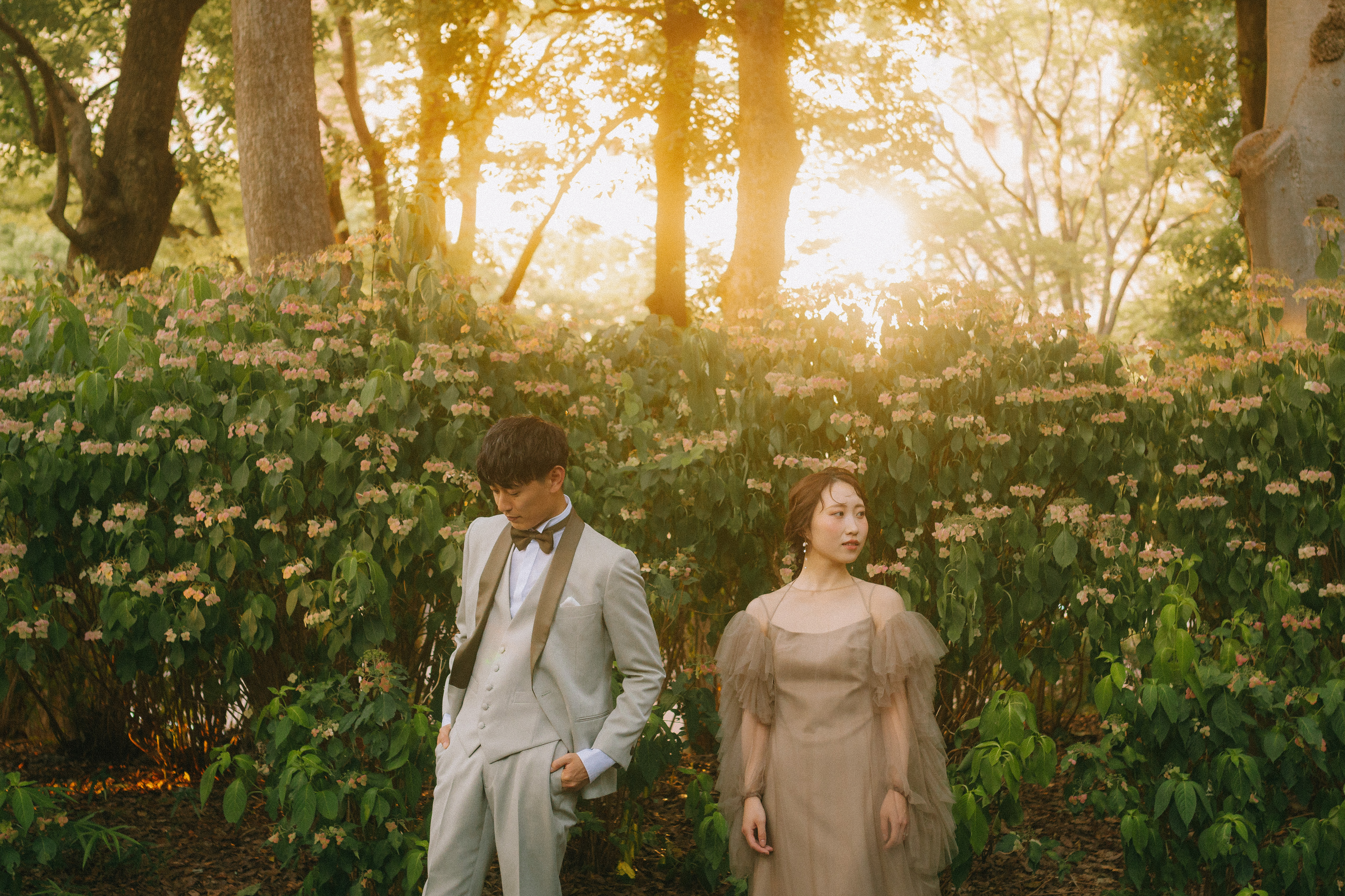 Point1 多彩な撮影シーン