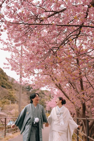 studio clori. TOKYO 新宿店_【和装】河津桜