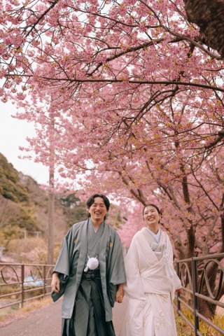 studio clori. TOKYO 新宿店_【和装】河津桜