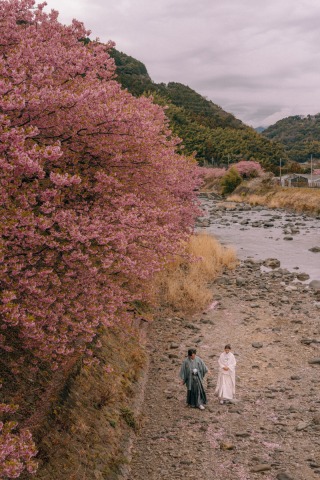 studio clori. TOKYO 新宿店_【和装】河津桜