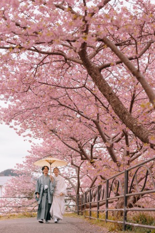 studio clori. TOKYO 新宿店_【和装】河津桜
