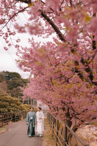 studio clori. TOKYO 新宿店_【和装】河津桜