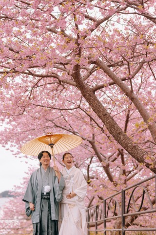 studio clori. TOKYO 新宿店_【和装】河津桜
