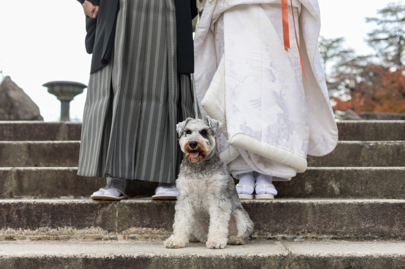 石原 萌々子の作品