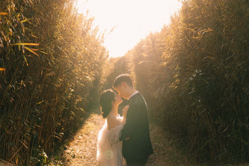 【自然がいっぱい♪】城ヶ島ドレスロケーション撮影プラン◆全カットデータ+ヘアセット&メイク+移動費込み♪