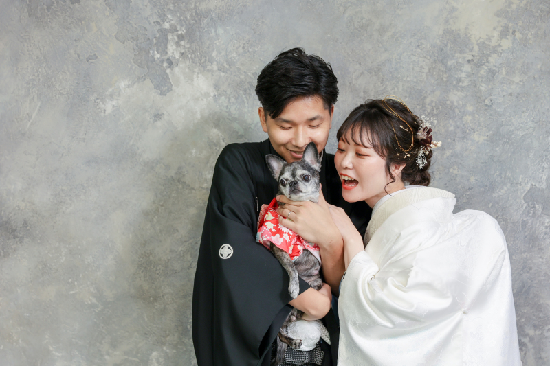 【大切なペットと一緒に♪】ペットと撮影スタジオプラン【和装でも洋装でも叶う♪】
