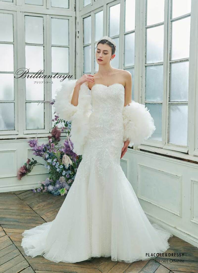 BRI-1501_OW