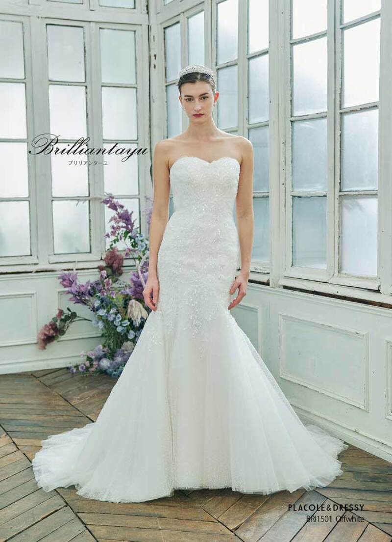 BRI-1501_OW