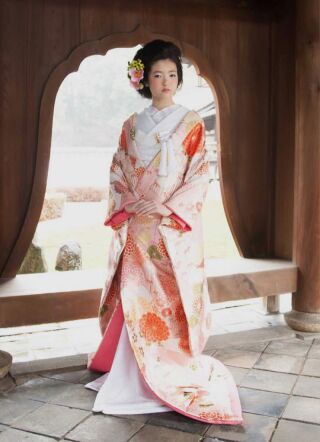 菊花青海紋_ピンク