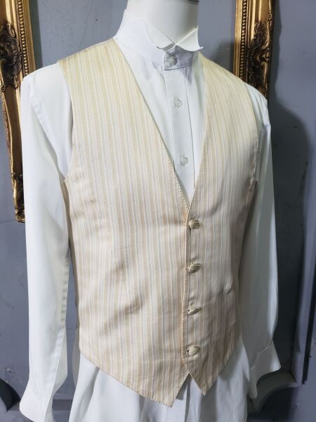 ベスト（その他カラー）