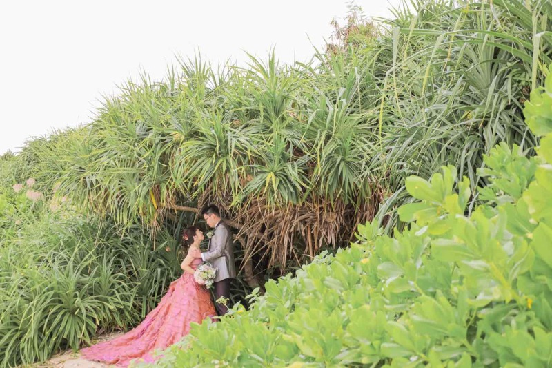 南国ならではのグリーンショットも♪^_^