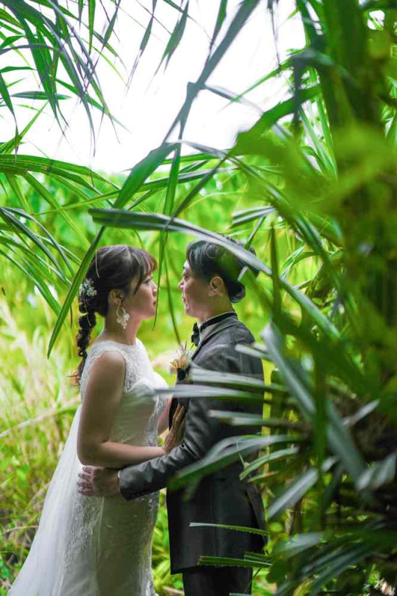 緑が映える。ザネー浜「グリーン」の秘境フォト