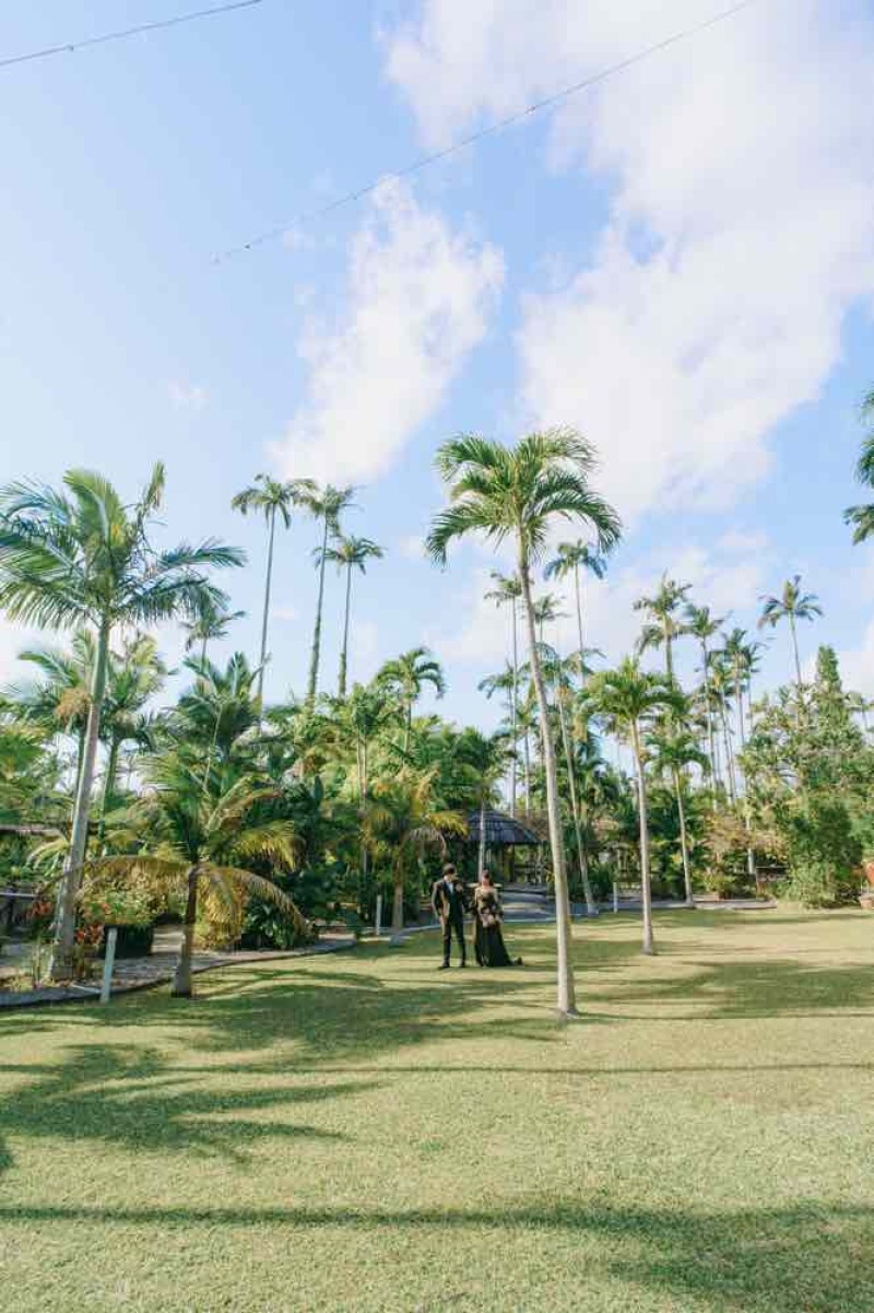 ヤシの木畑を散歩するような爽やかな１枚♪♪