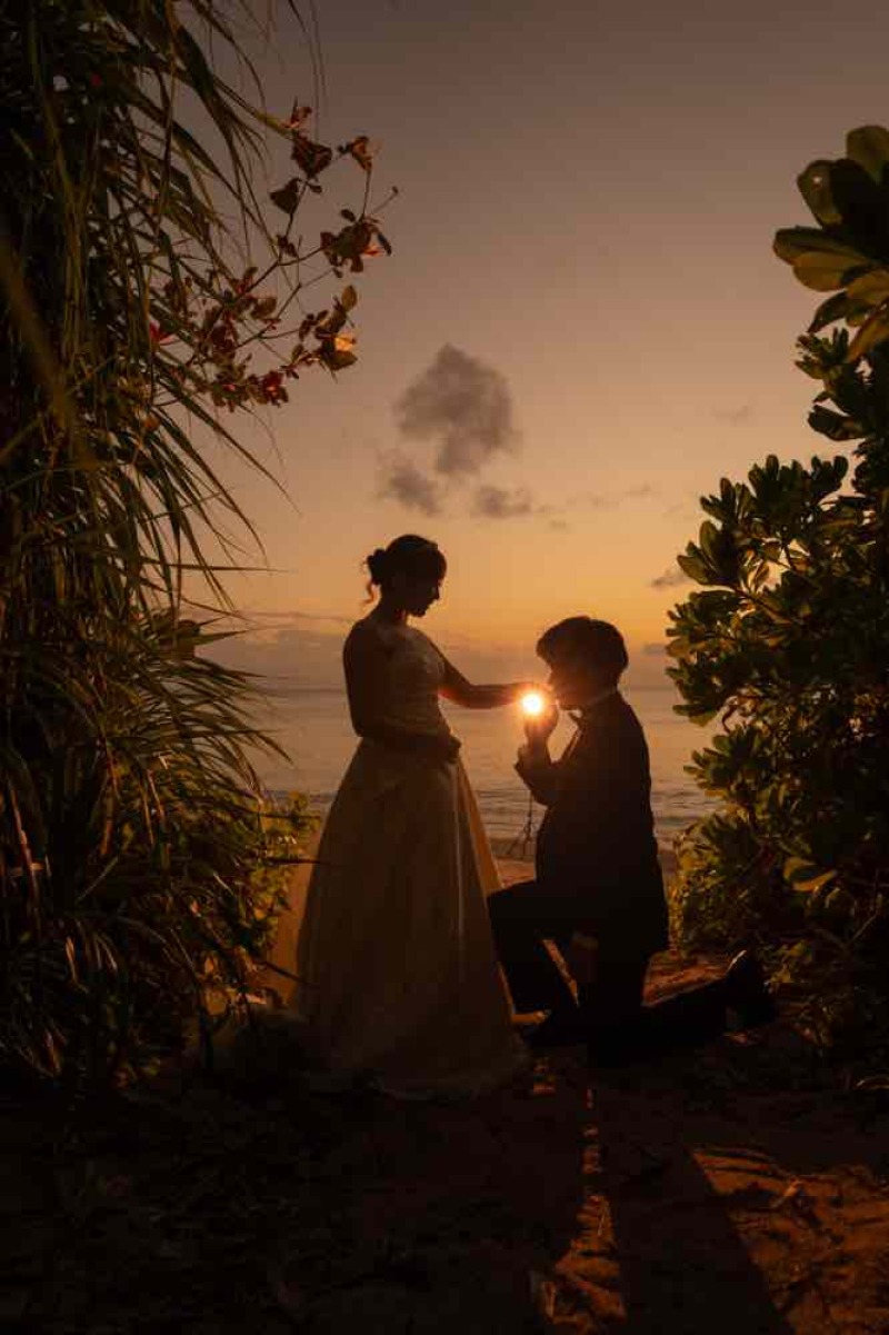 逆光での撮影もこの時間ならでは！^_^