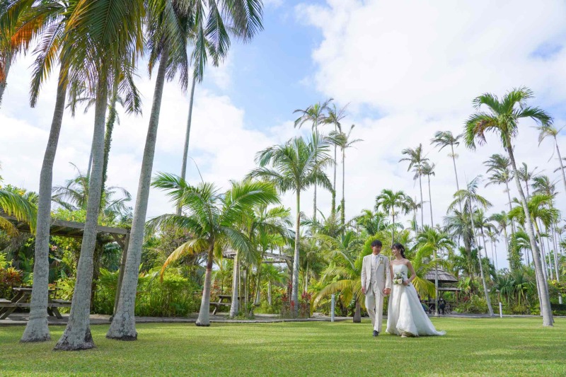 植物園での南国フォト!色鮮やかな緑で鮮やかに!
