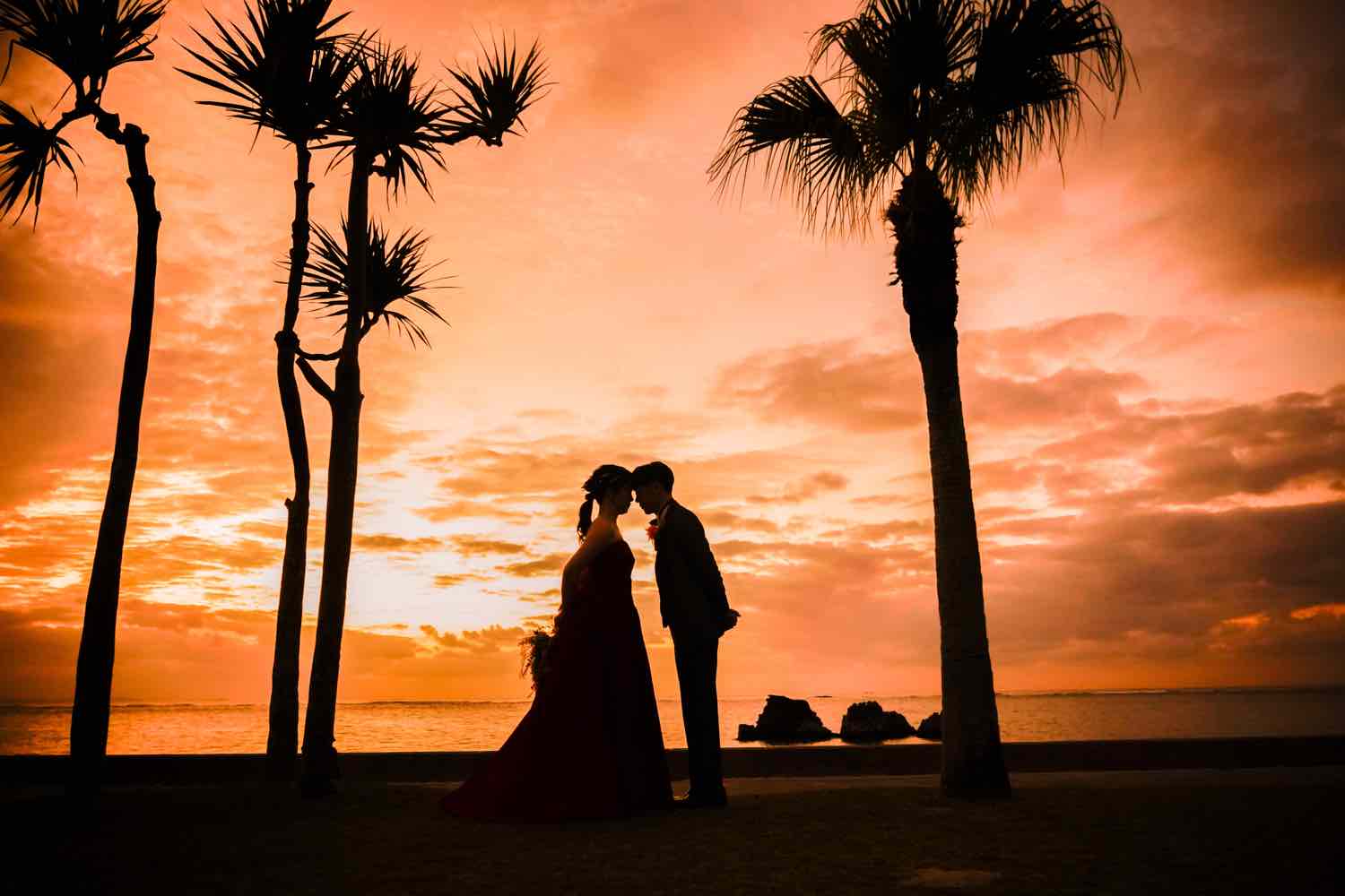 Point1 多彩な撮影シーン