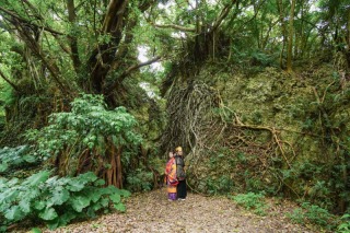 ワルツフォトスタジオ_カラードレス撮影