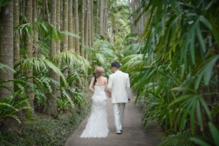 ワルツフォトスタジオ_植物園