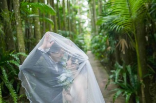 ワルツフォトスタジオ_植物園